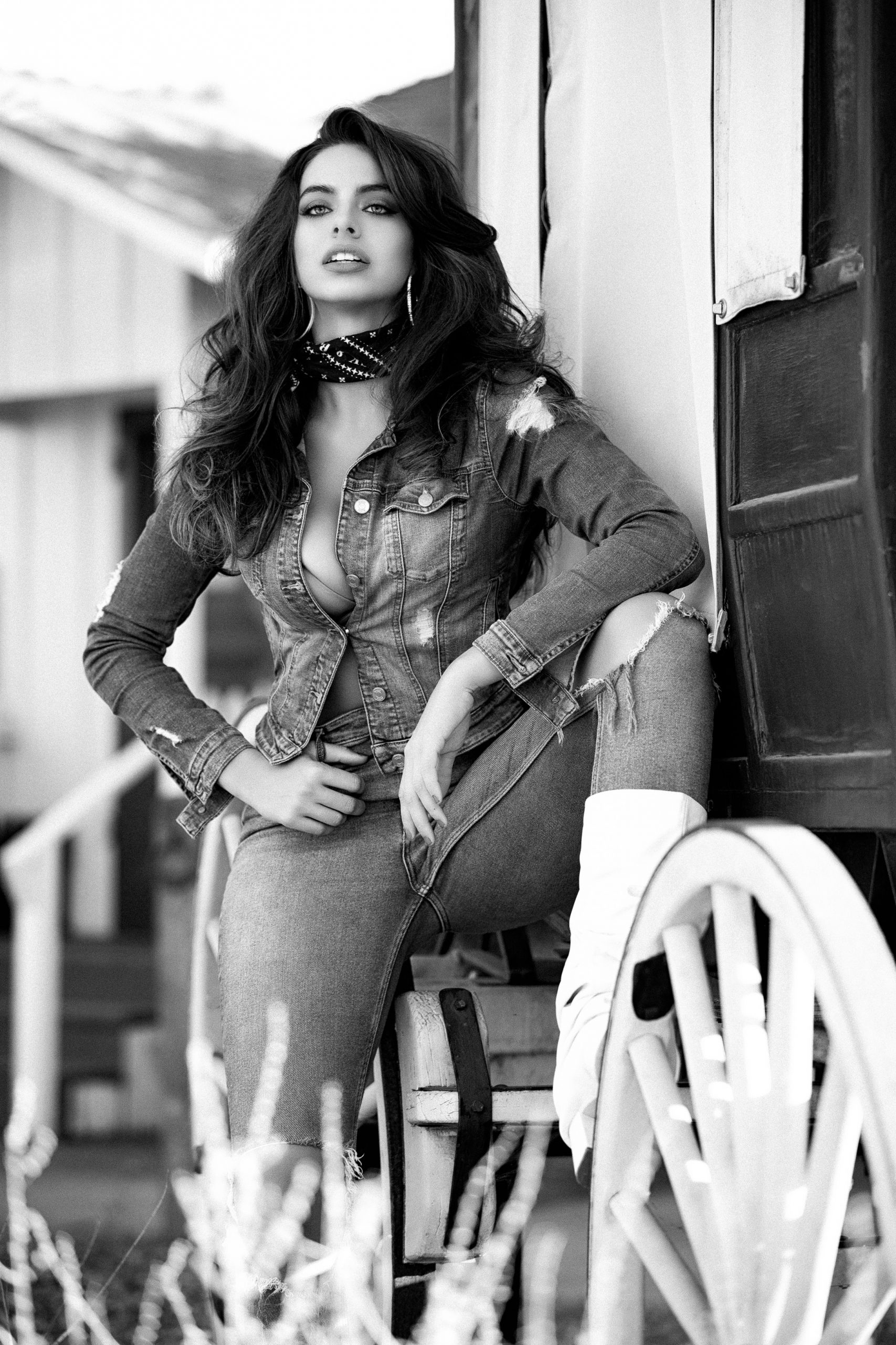 Priscilla - Image 6 by Mishan Warnakulasuriya