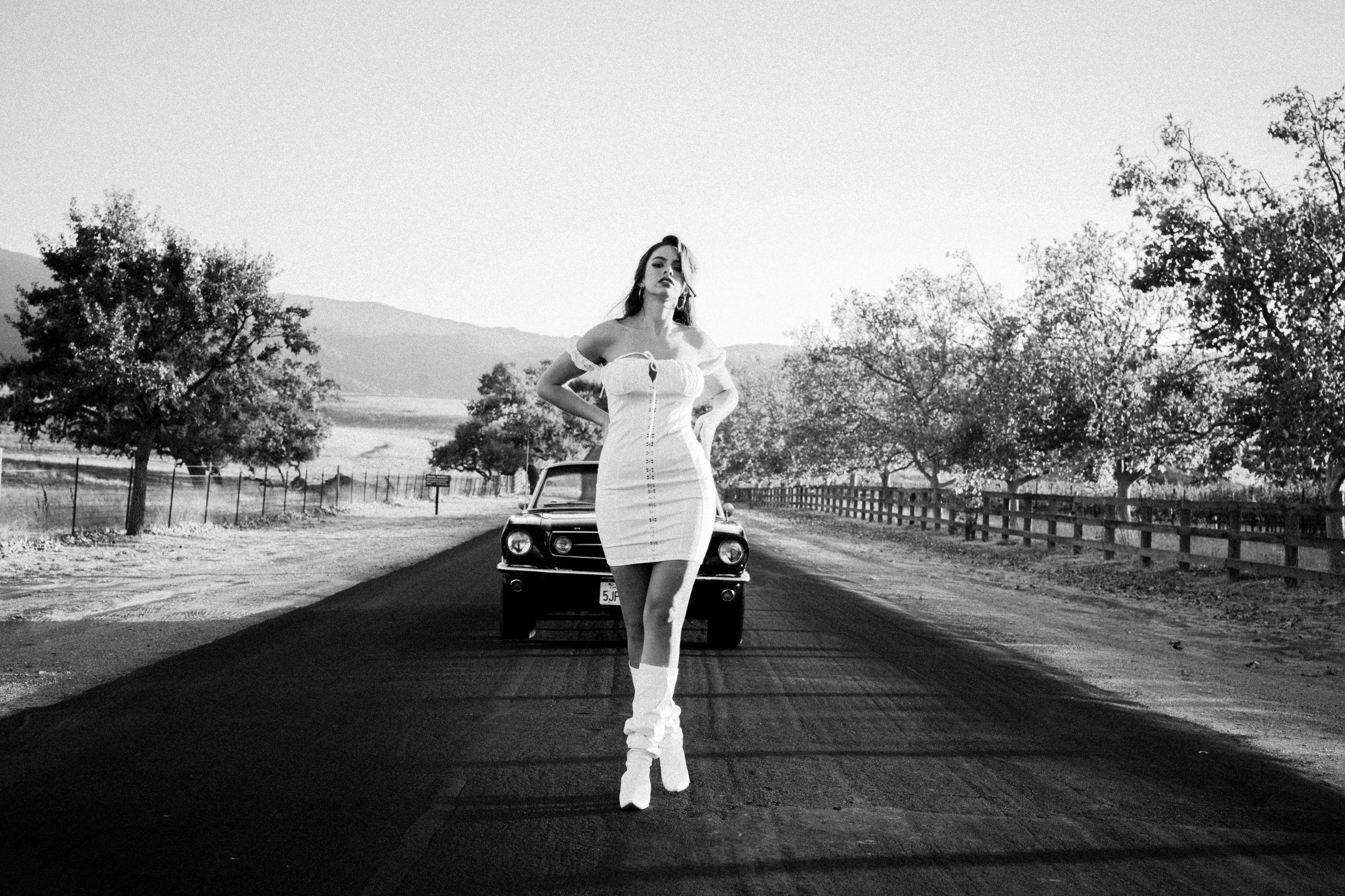 Priscilla - Image 13 by Mishan Warnakulasuriya